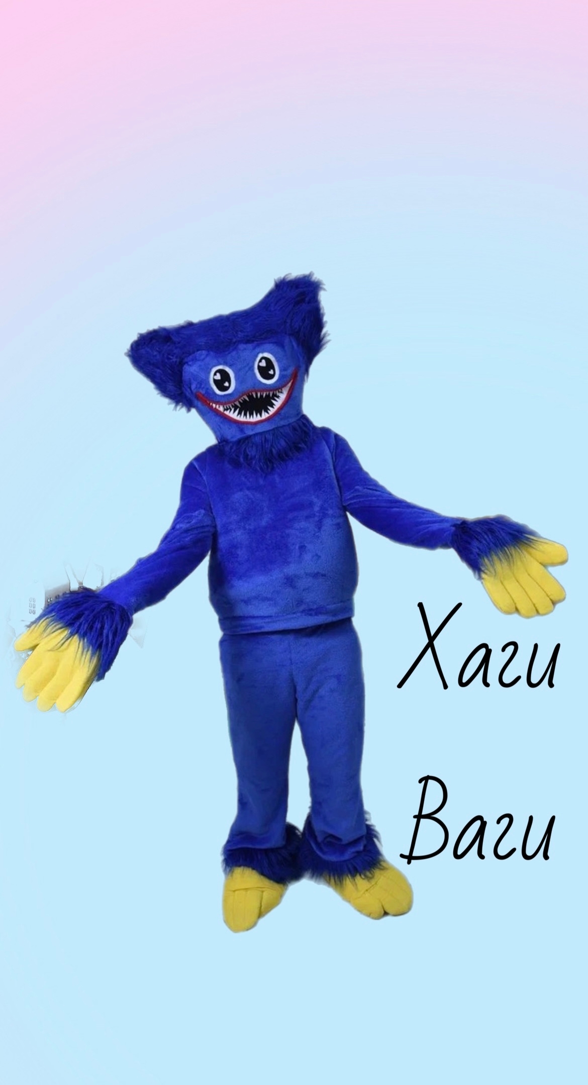 Хаги Ваги